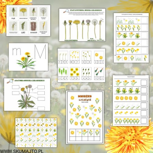 Projekt bez nazwy - 2024-02-23T123829.143.jpg