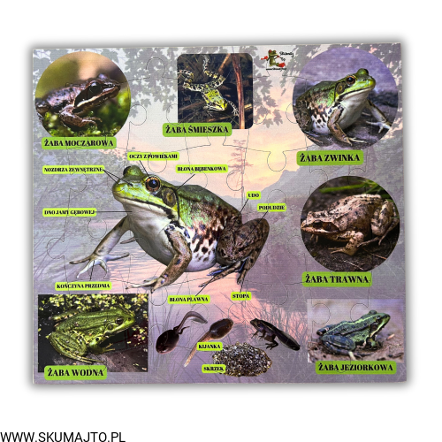 Projekt bez nazwy (66).png