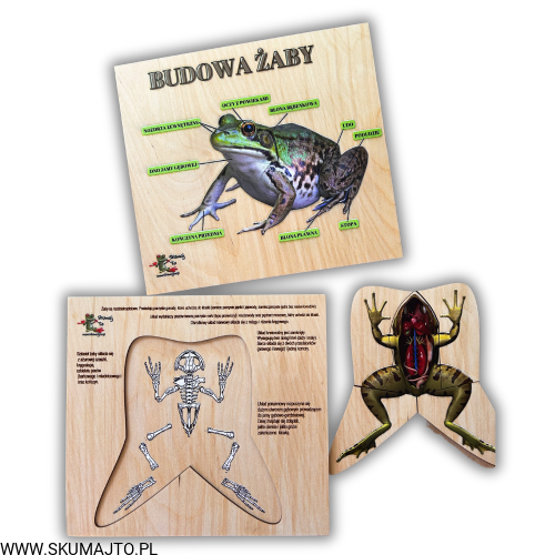 Projekt bez nazwy (58).png