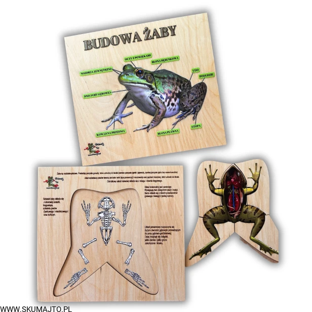 Projekt bez nazwy (58).png