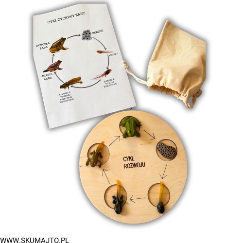 Projekt bez nazwy - 2024-04-15T155406.049.jpg