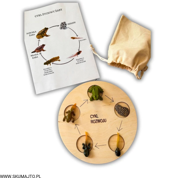 Projekt bez nazwy - 2024-04-15T155406.049.jpg