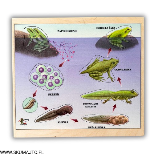 Projekt bez nazwy - 2024-04-15T155511.699.jpg