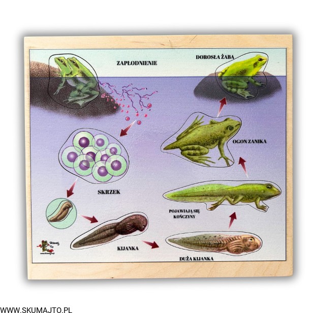 Projekt bez nazwy - 2024-04-15T155511.699.jpg