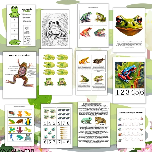 Projekt bez nazwy - 2024-04-16T094427.904.jpg