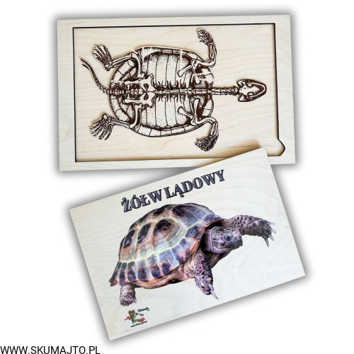 ręcznie malowany! (2).jpg