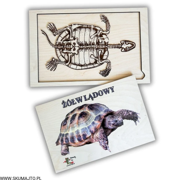 ręcznie malowany! (2).jpg