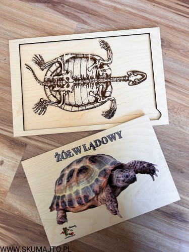 IMG_4093 — kopia.jpg