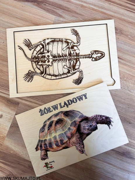 IMG_4093 — kopia.jpg