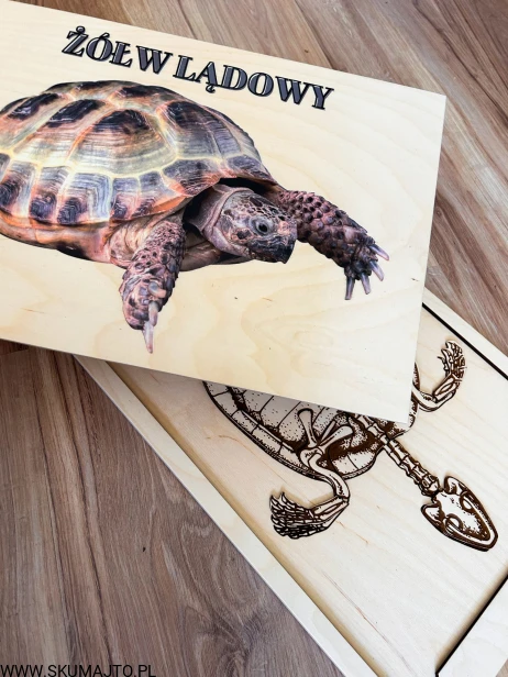 IMG_4098 — kopia.jpg