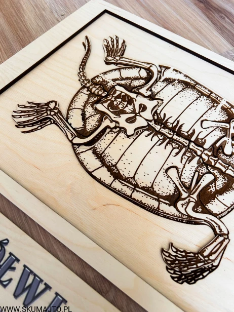 IMG_4100 — kopia.jpg