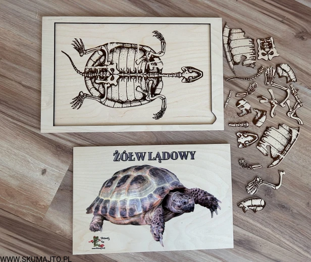 IMG_4102 — kopia.jpg