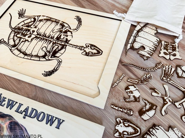 IMG_4104 — kopia.jpg