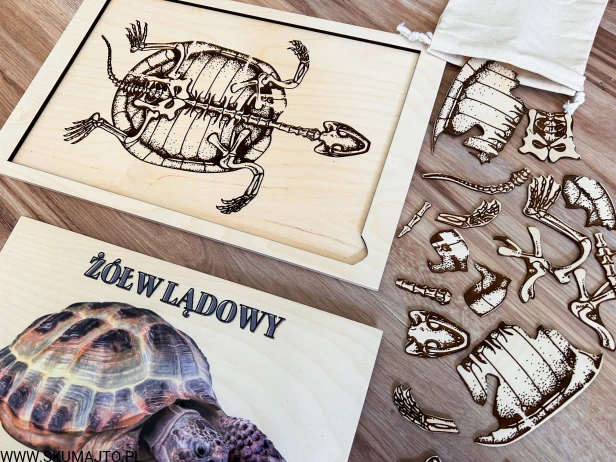 IMG_4105 — kopia.jpg