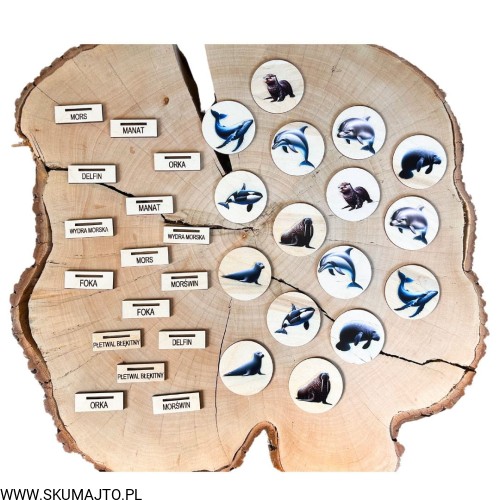 Projekt bez nazwy (28).jpg