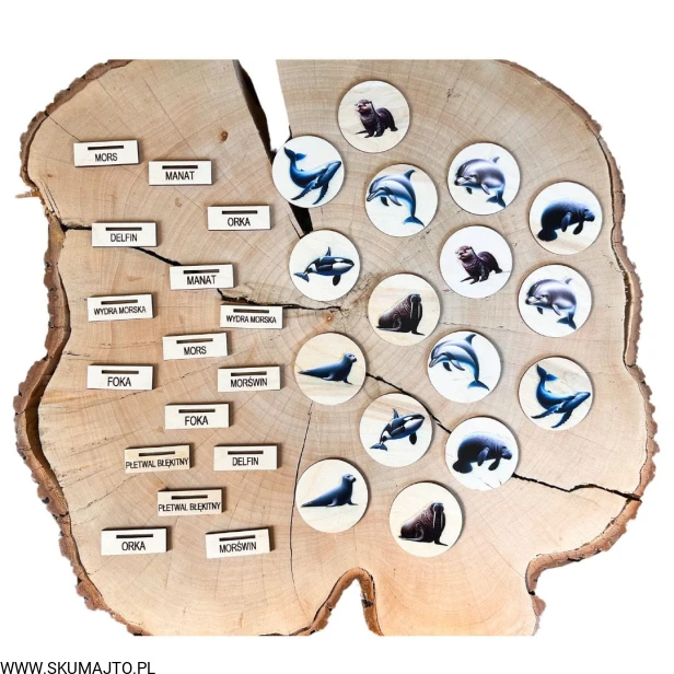 Projekt bez nazwy (28).jpg