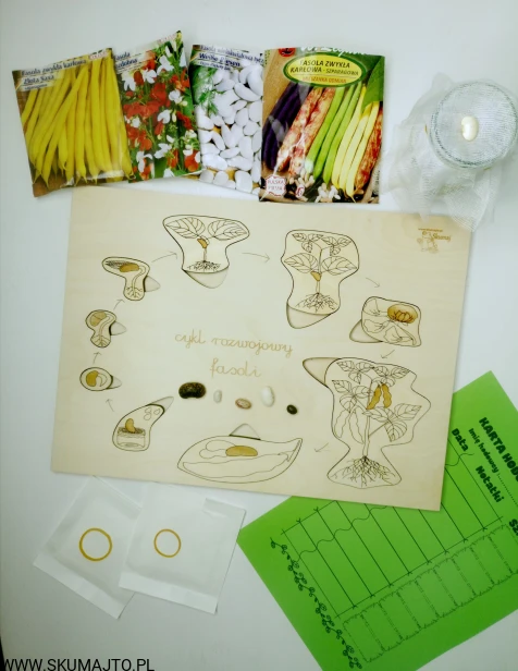 106161490_771387643665467_4746562376873110250_n