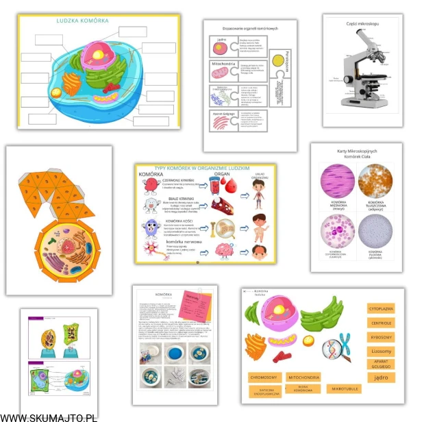 Projekt bez nazwy (44).jpg