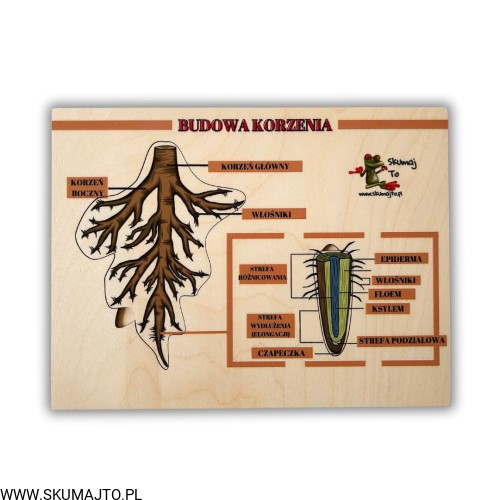 Projekt bez nazwy (57).jpg