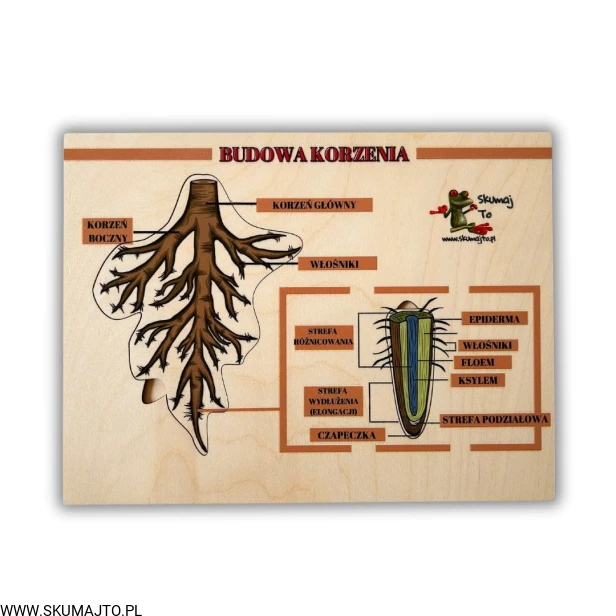 Projekt bez nazwy (57).jpg