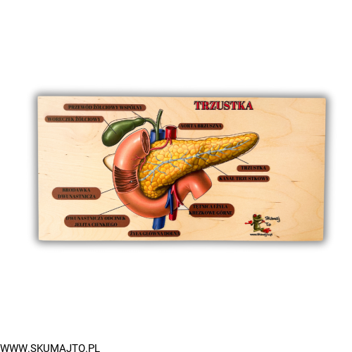 Projekt bez nazwy (6).png