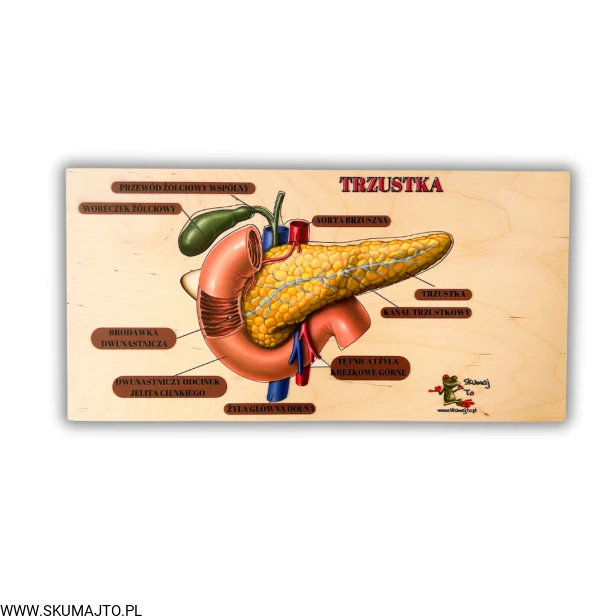 Projekt bez nazwy (6).png