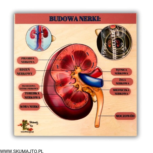 Projekt bez nazwy (65).jpg