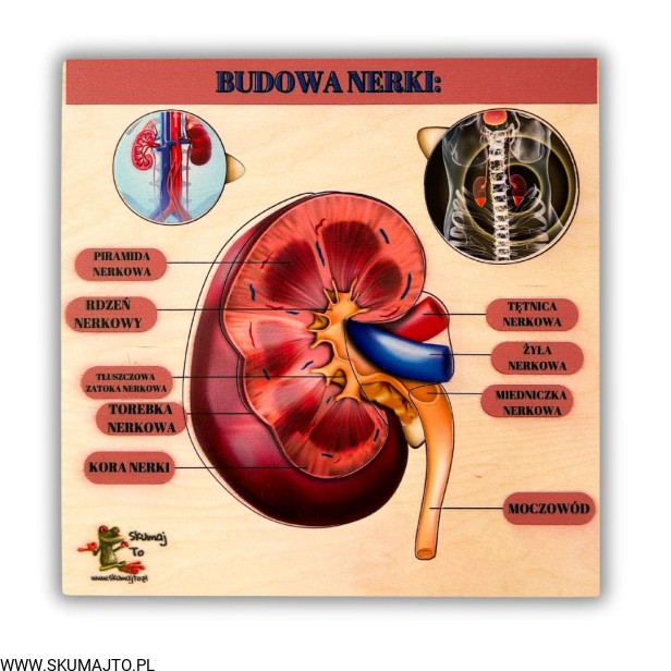 Projekt bez nazwy (65).jpg