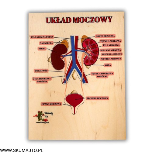 Projekt bez nazwy (59).jpg