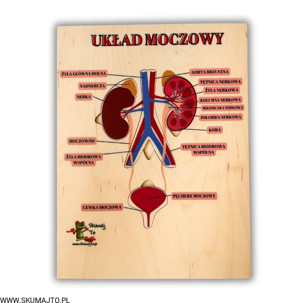 Projekt bez nazwy (59).jpg