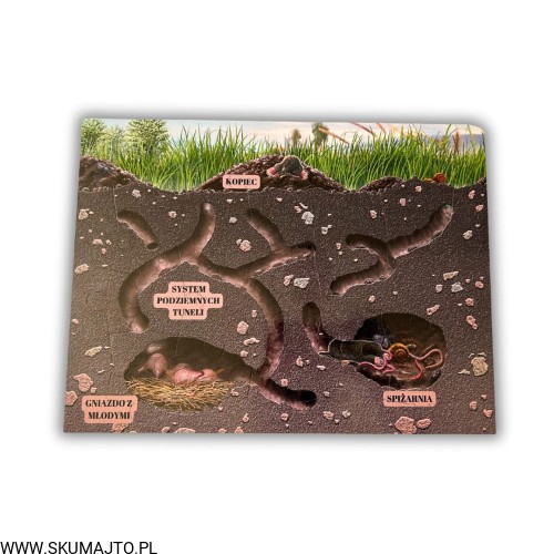 Projekt bez nazwy (63).jpg