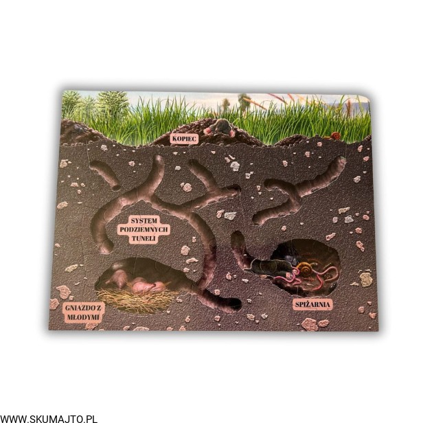 Projekt bez nazwy (63).jpg