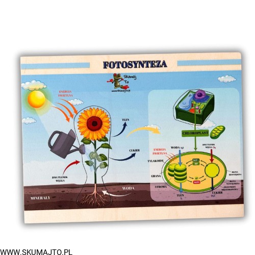 Projekt bez nazwy (68).jpg