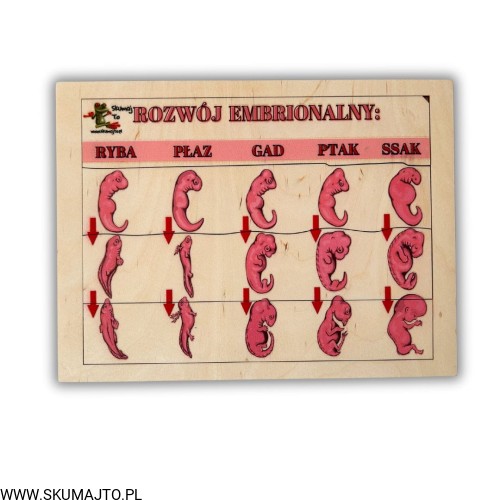 Projekt bez nazwy (58).jpg