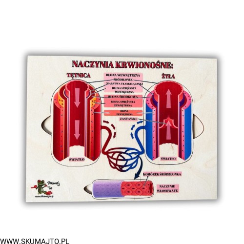 Projekt bez nazwy (69).jpg