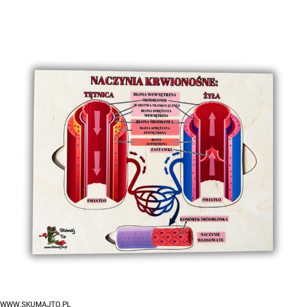 Projekt bez nazwy (69).jpg