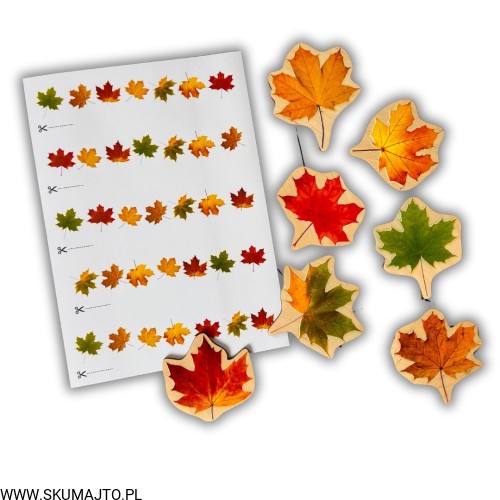 Projekt bez nazwy (100).jpg