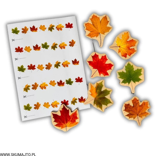 Projekt bez nazwy (100).jpg