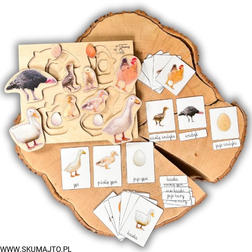 Projekt bez nazwy - 2024-09-14T185736.439.jpg