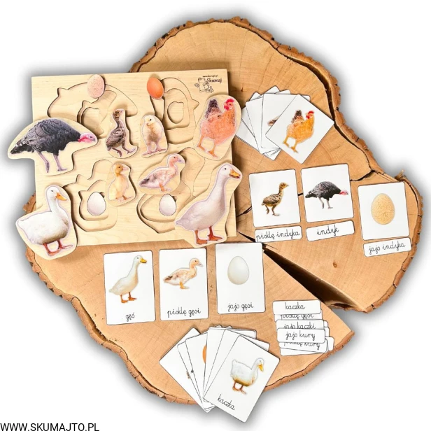 Projekt bez nazwy - 2024-09-14T185736.439.jpg