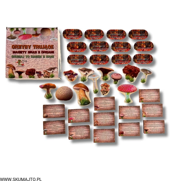 Projekt bez nazwy - 2024-10-13T121859.015.jpg