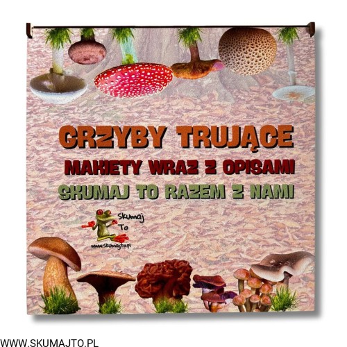 Projekt bez nazwy - 2024-10-13T121952.498.jpg