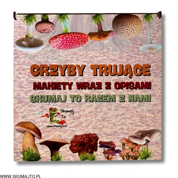 Projekt bez nazwy - 2024-10-13T121952.498.jpg