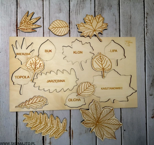 120750739_746115505969581_6375006179156739793_n