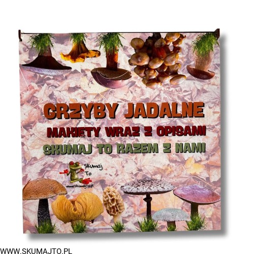 Projekt bez nazwy - 2024-10-13T133739.499.jpg