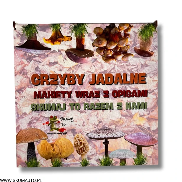 Projekt bez nazwy - 2024-10-13T133739.499.jpg