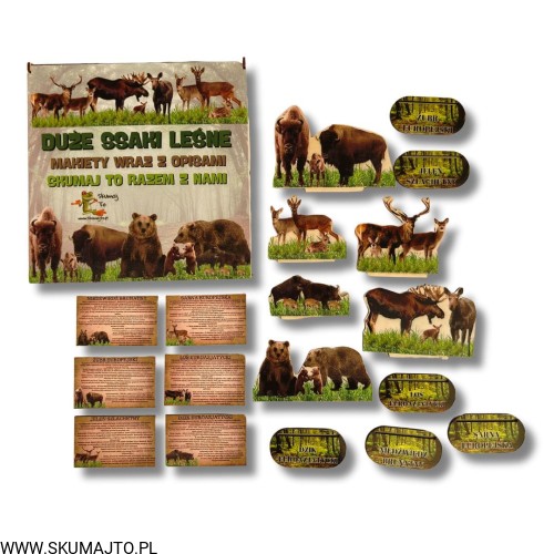 Projekt bez nazwy - 2024-10-25T130914.866.jpg