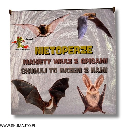 Projekt bez nazwy - 2024-10-29T115122.064.jpg