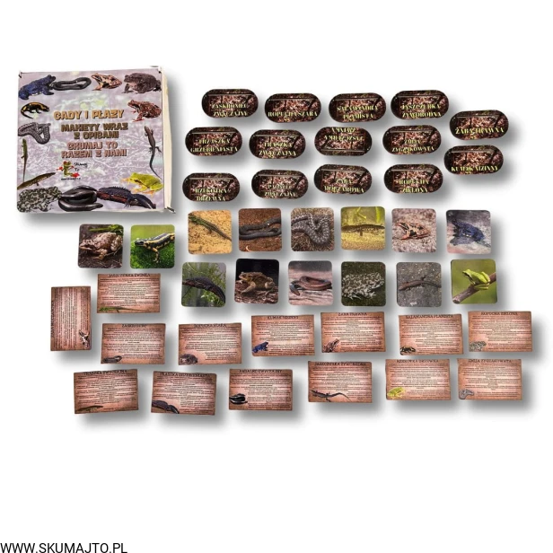 Projekt bez nazwy - 2024-10-29T115852.068.jpg