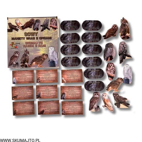 Projekt bez nazwy - 2024-10-29T121500.114.jpg